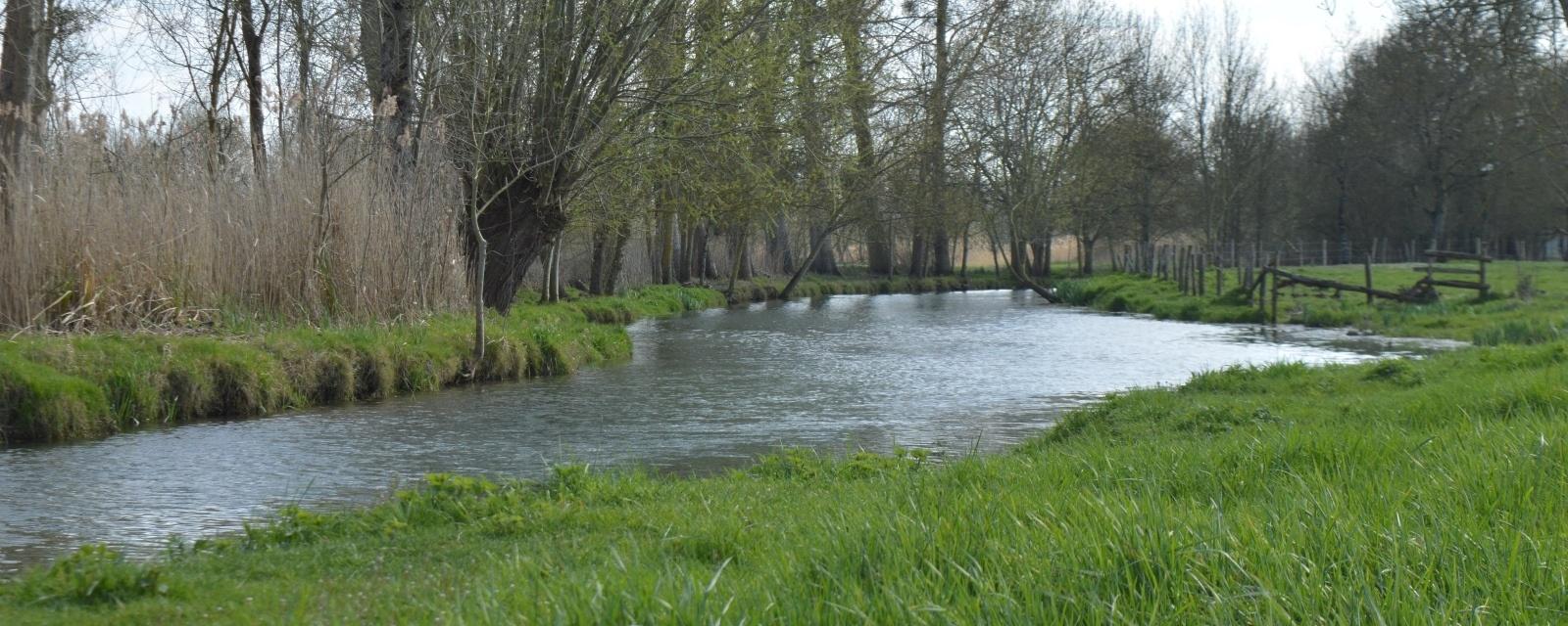 rivière la dive à règné