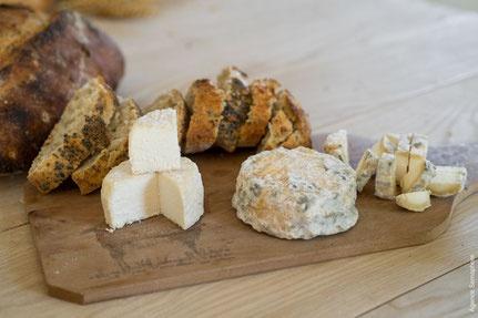 fromages @agence sémaphore